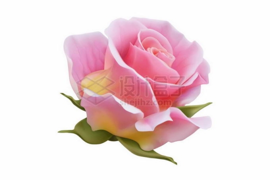 一朵粉红色的玫瑰花美丽花朵3017799矢量图片免抠素材
