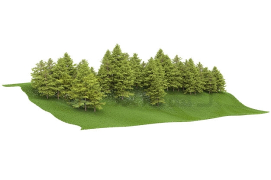小山坡上的大树森林树林3D渲染图6695790PSD免抠图片素材
