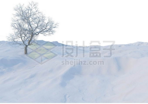 冬天大雪覆盖的荒原上一棵孤零零的大树雪景风景9296009免抠图片素材