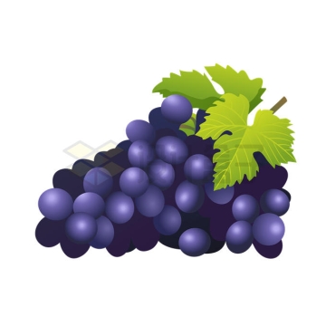 一串紫色葡萄美味水果6040130矢量图片免抠素材