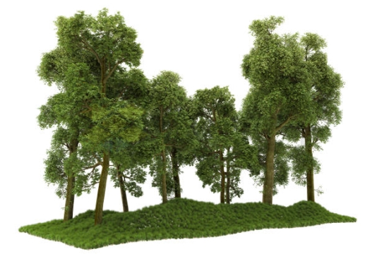 草地上的大树森林树林3D渲染图4856791PSD免抠图片素材
