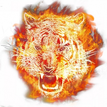 创意抽象火焰组成的老虎头687102png图片素材