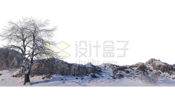 冬天大雪覆盖的石头山上一棵孤零零的大树雪景风景7879377免抠图片素材