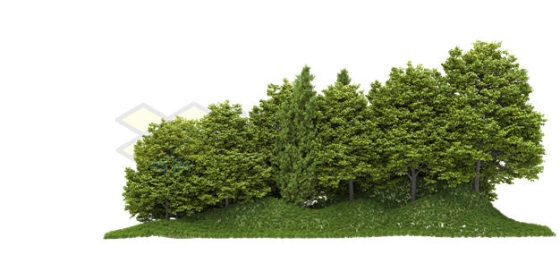 小山坡上的大树森林树林3D渲染图5312111PSD免抠图片素材