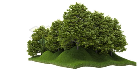 小山坡上的大树森林树林3D渲染图2180996PSD免抠图片素材