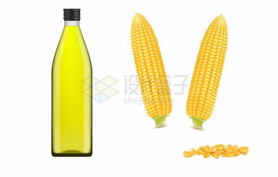 玉米棒子玉米粒和一大瓶玉米油1706394矢量图片免抠素材