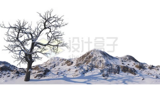 冬天大雪覆盖的石头山上一棵孤零零的大树雪景风景1339825免抠图片素材