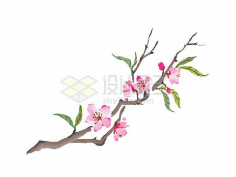 枝头上盛开的桃花水墨画中国传统画7567980矢量图片免抠素材