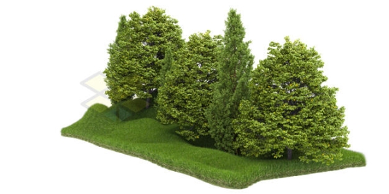 小山坡上的大树森林树林3D渲染图9077612PSD免抠图片素材