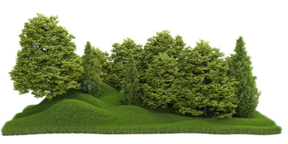 小山坡上的大树森林树林3D渲染图3702801PSD免抠图片素材