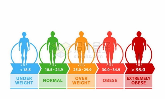 不同程度的肥胖等级BMI对照表4621550矢量图片免抠素材