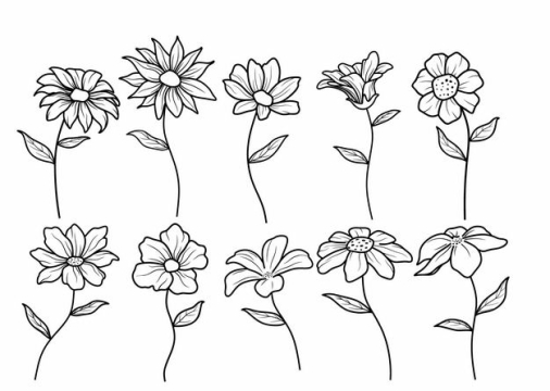 10款黑色线条手绘风格小花花朵鲜花2663609矢量图片免抠素材