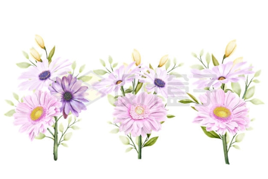 3款盛开的粉红色雏菊花朵1331763矢量图片免抠素材下载