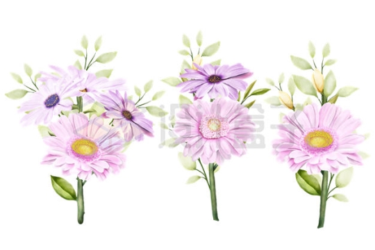 3款盛开的粉红色雏菊花朵8203755矢量图片免抠素材下载