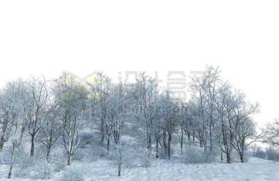 冬天大雪覆盖的山坡上的森林树林雪景风景5438019免抠图片素材