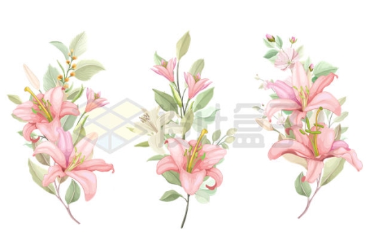 3款盛开的百合花花朵花卉7129840矢量图片免抠素材下载