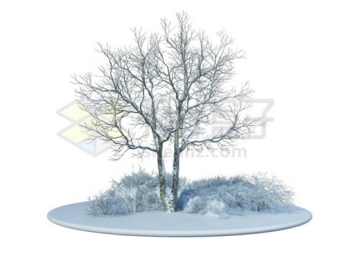 冬天大雪覆盖的雪原上的一棵大树和周围的灌木丛雪景3828871免抠图片素材