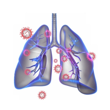 3D立体风格紫色半透明肺部和新型冠状病毒939751png图片素材