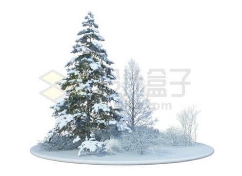 冬天大雪覆盖的雪原上的一棵雪松大树和周围的灌木丛雪景3379135免抠图片素材