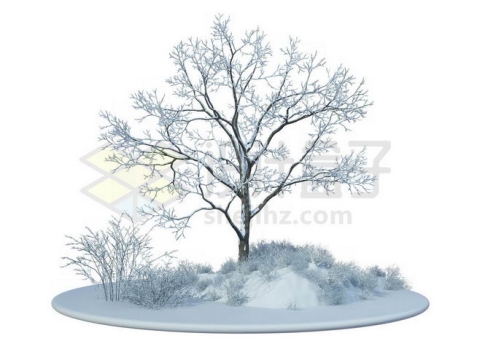 冬天大雪覆盖的雪原上的一棵大树和周围的灌木丛雪景4130680免抠图片素材