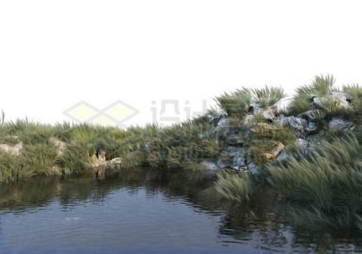 池塘河边水边的石头岸边上的草丛绿色植物9292082PSD免抠图片素材