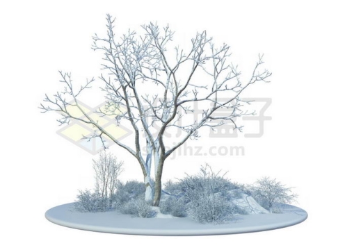 冬天大雪覆盖的雪原上的一棵大树和周围的灌木丛雪景4274659免抠图片素材