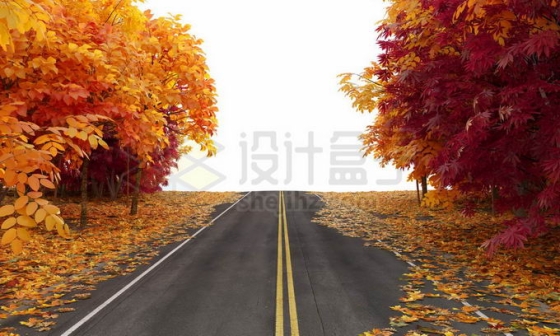 金秋时节公路两旁变红的树林大树和落叶8853964图片免抠素材