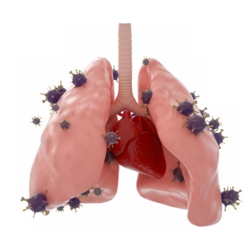 3D立体风格肉色的肺部和新型冠状病毒934608png图片素材
