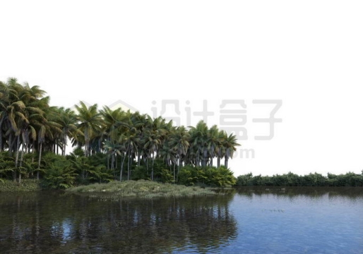 湖边水边河边的椰子树林热带雨林森林景观3682962PSD免抠图片素材
