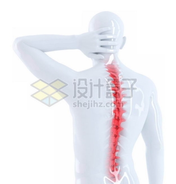 3D立体红色脊椎脊柱塑料人体模型2285877免抠图片素材