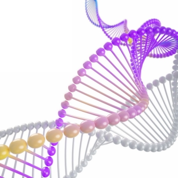银白色紫色3D立体风格DNA双螺旋结构650558png图片素材