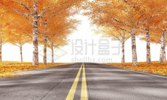 金秋时节公路两旁变黄的树林大树和落叶6805835图片免抠素材