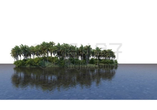湖心小岛上的椰子树林热带雨林大森林风景9986325PSD免抠图片素材