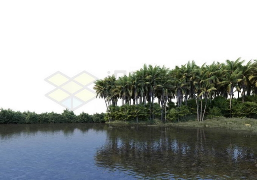 河流岸边的椰子树林热带雨林大森林风光9323973PSD免抠图片素材