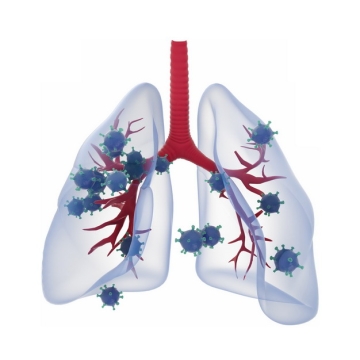 3D立体风格淡蓝色半透明肺部和新型冠状病毒747792png图片素材