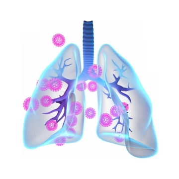3D立体风格蓝色半透明肺部和粉色新型冠状病毒358000png图片素材