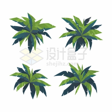 4款卡通风格椰子树树冠绿色树叶3599660矢量图片免抠素材