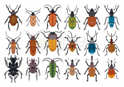 象鼻虫蜣螂虫楸型虫步行虫等各种各样的甲虫昆虫1276310矢量图片免抠素材免费下载