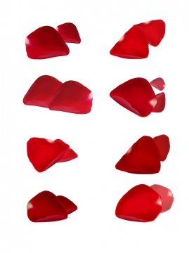 八款不同造型的红色玫瑰花花瓣装饰素材