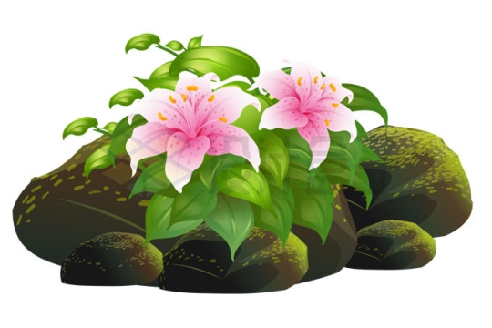 长满苔藓的石头上长出了粉红色的花朵和绿叶9359554矢量图片免抠素材