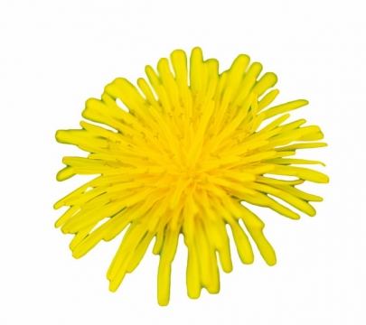 一朵盛开的黄色菊花936167png图片素材
