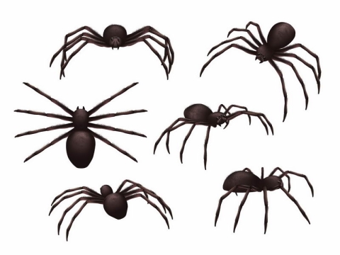 6个不同视角的大蜘蛛7898405图片免抠素材
