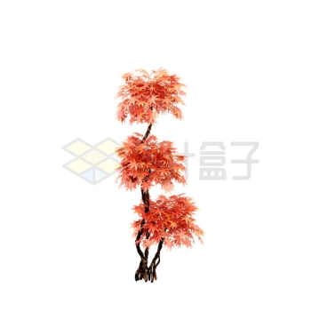 一棵枫树红色树叶植物7805258PSD免抠图片素材
