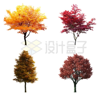 4款深秋时节叶子变黄的大树小树6627079PSD免抠图片素材