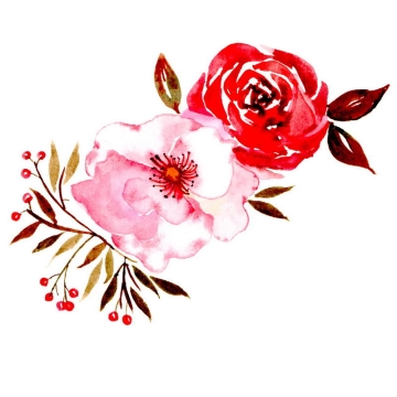 红色和粉色花朵玫瑰花手绘水彩画7993103图片免抠素材