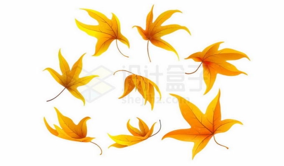 秋天里飞舞的枫叶树叶8240456免抠图片素材