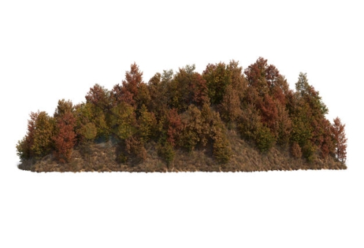 浓密的秋天树叶枯黄的树林森林风景5372765PSD免抠图片素材