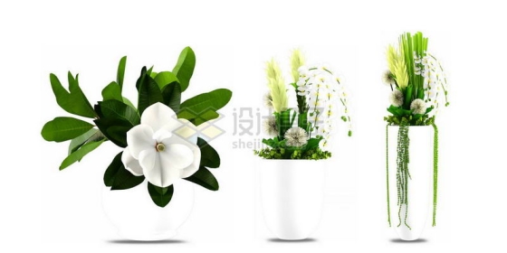 三款花瓶中的鲜花绿色植物观赏植物2600842图片免抠素材