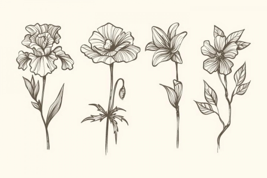 4款素描风格杜鹃花百合花花朵图片免抠矢量图素材