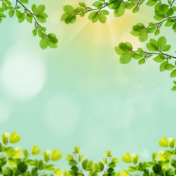 夏天夏日中午阳光照射下的树冠绿色树叶装饰边框4399667免抠图片素材
